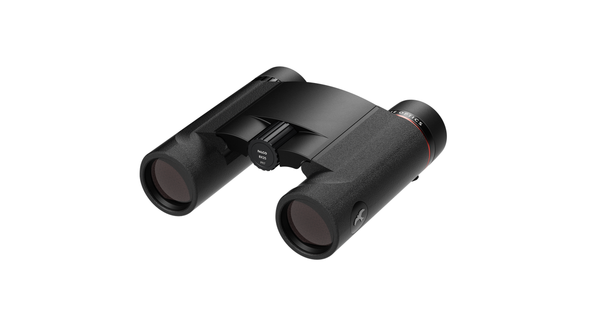 fernglas Kite FALCO 8X25