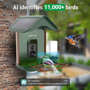 Vernetztes Vogelhaus mit KI-gestützter Artenerkennung 