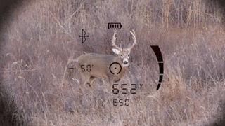 fernglas Bushnell FUSION X Entfernungsmesser 10x42 