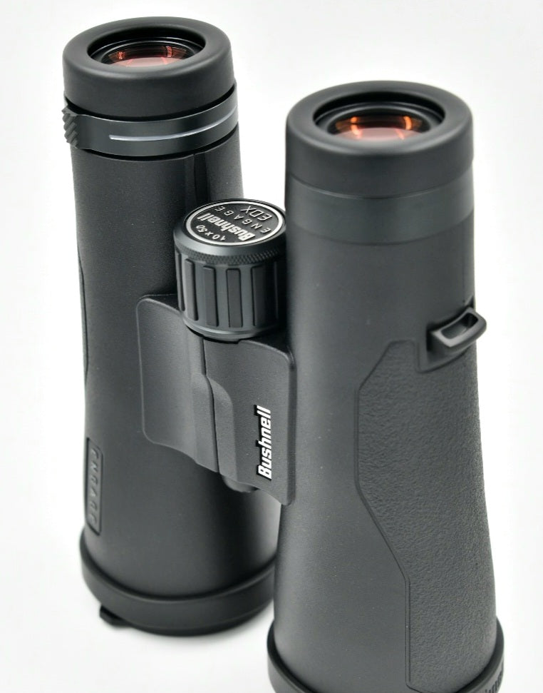 fernglas Bushnell Engage EDX 12x50 