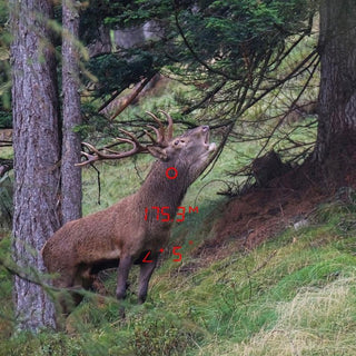 fernglas GPO mit Entfernungsmesser Rangeguide 3200 10x40 