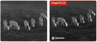 fernglas Wärmebildgerät HIKMICRO Habrok PRO HQ50LN 