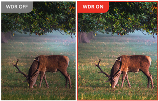 fernglas Wärmebildgerät Hikmicro habrok HQ35LN 4k 