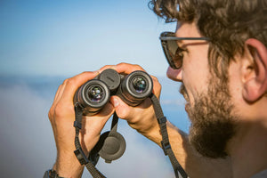 fernglas Nikon Monarch M5 8X42 