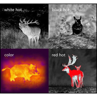 monokular Pard Wärmebildgerät 25 mm - 12µm 384 x 288px Wifi 