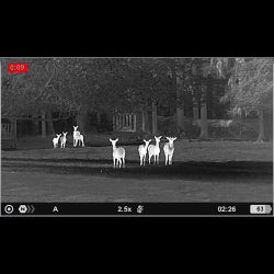 monokular PULSAR Wärmebildgerät AXION XG35 kompakt und vernetzt 