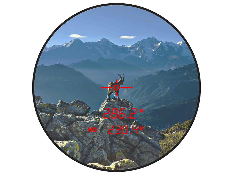 fernglas Steiner Ranger LRF 10X42 