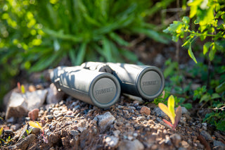 fernglas Steiner Ranger LRF 10x42 Integrierter Entfernungsmesser 