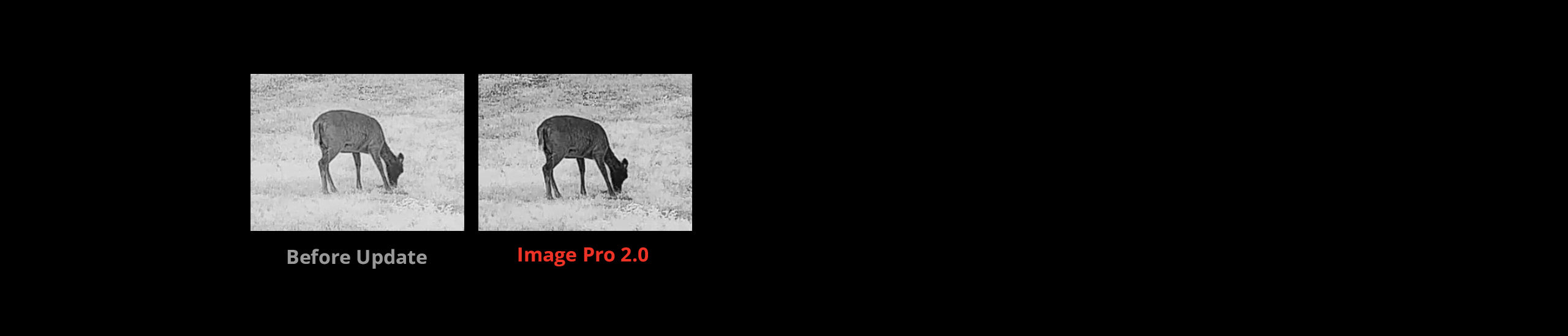 Wärmebild-Vorsatzmodul (CLIP-ON) HIKMICRO THUNDER TQ35C 3.0 