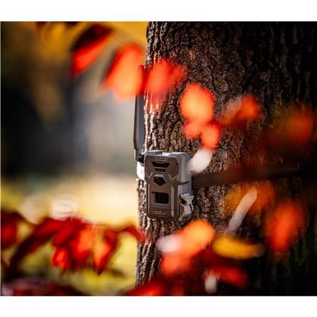 Kamera Spypoint Flex-M 