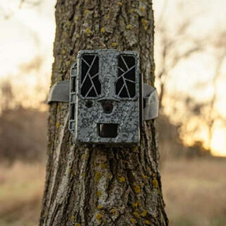 Spypoint Force Pro Dark 4K Wildkamera ohne Verbindung 