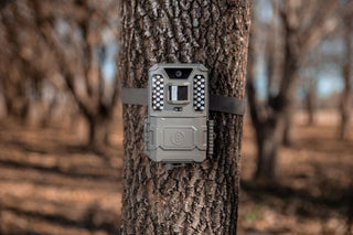 Bushnell Prime 24MP Weißlicht-LED Wildkamera 