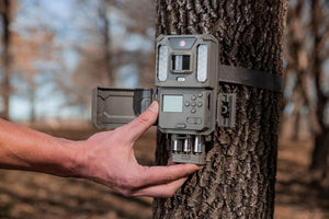 Bushnell Prime 24MP Weißlicht-LED Wildkamera 