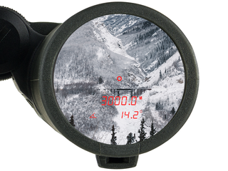 fernglas Steiner eRanger LRF 10x42 integrierter Entfernungsmesser 