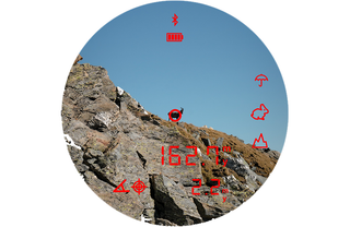 fernglas Steiner eRanger LRF 10x42 integrierter Entfernungsmesser 