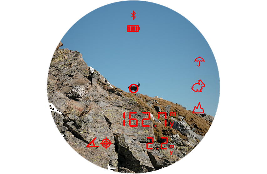 fernglas Steiner eRanger LRF 10x42 integrierter Entfernungsmesser 