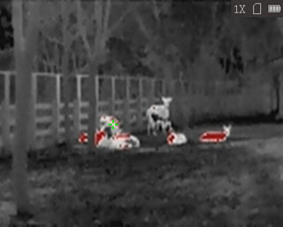 monokular Wärmebildgerät HiKMICRO Lynx LC06 S verbunden 