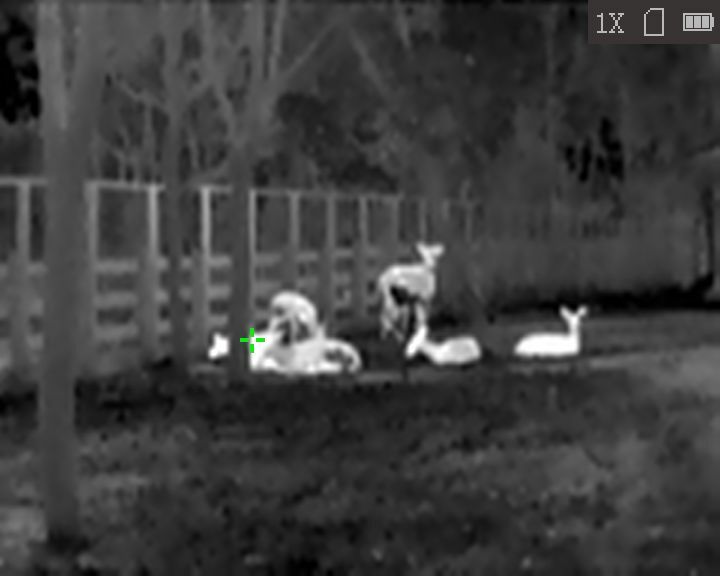 monokular Wärmebildgerät HiKMICRO Lynx LC06 S verbunden 