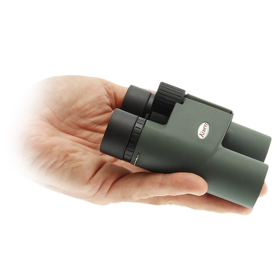 Kowa BD25 10×25 — vue principale