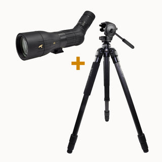 fernrohre Kite Optics KSP 80 HD 25-50X80 + Stativ Ardea CF mit Manfrotto 128 RC Videoneiger 