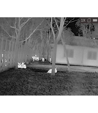 monokular Wärmebildgerät Hikmicro Lynx LH15 Pro 2.0 