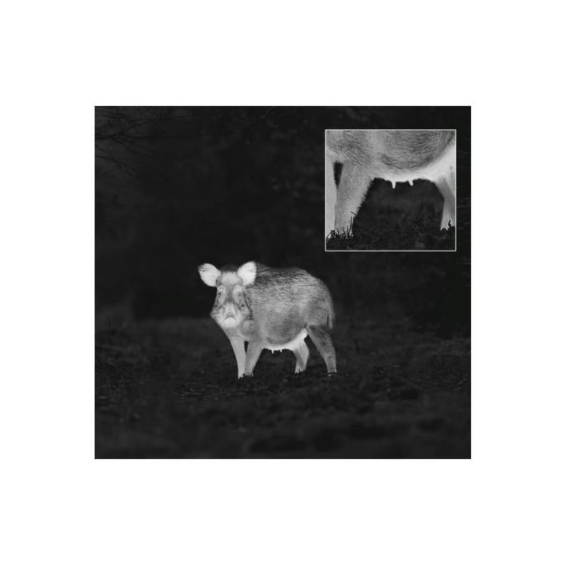 monokular Wärmebildgerät ZEISS DTI 3/35 GEN 2 