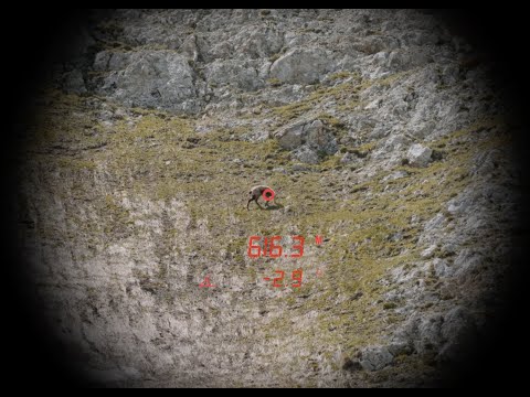 fernglas Steiner Ranger LRF 10X42 