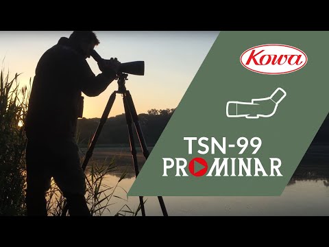 fernrohr Kowa TSN-99A Schrägeinblick 45° mit Okular TE-11WZ II 