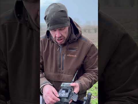 ZEISS Secacam 7 vernetztes Fotofallen-Gerät 