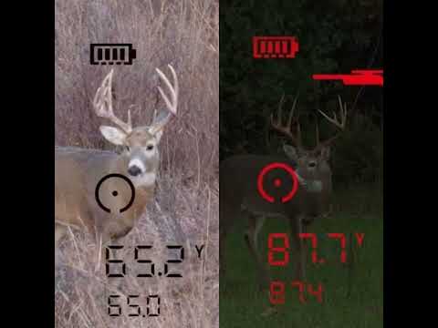 fernglas Bushnell FUSION X Entfernungsmesser 10x42 