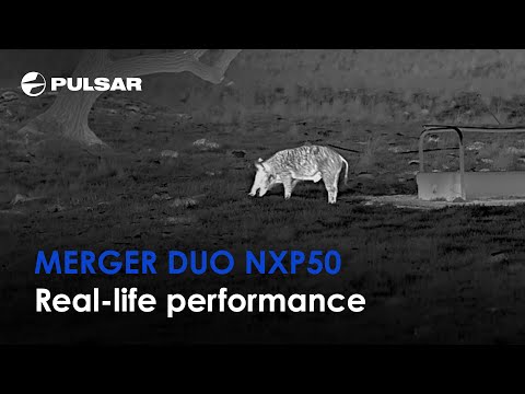 fernglas Pulsar Mehrkanal-Thermal- und Nachtsichtgerät Merger DUO NXP50 