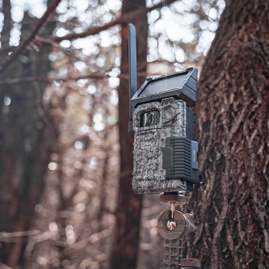 Spypoint FLEX Solar-Fotofalle mit Foto-/Videoübertragung 
