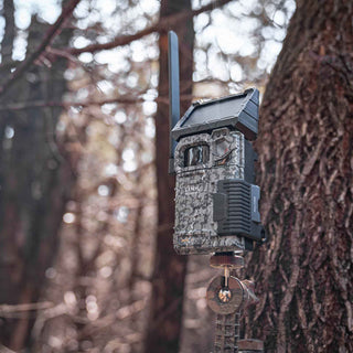 Spypoint FLEX Solar-Fotofalle mit Foto-/Videoübertragung 