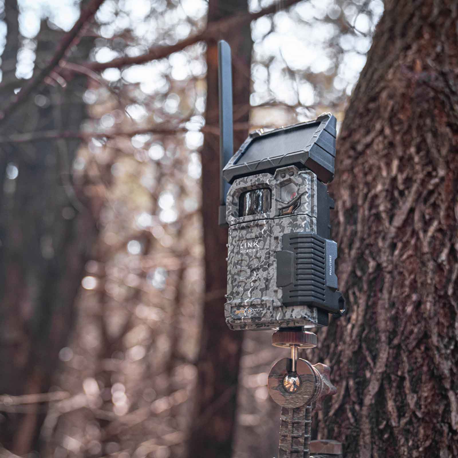 Spypoint FLEX Solar-Fotofalle mit Foto-/Videoübertragung 