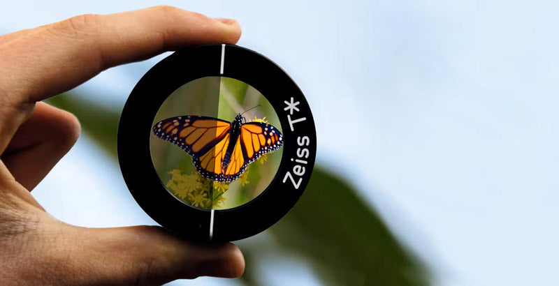 monokular ZEISS Victory 6X18 T* 