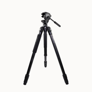 fernrohre Kite Optics KSP 80 HD 25-50X80 + Stativ Ardea CF mit Manfrotto 128 RC Videoneiger 