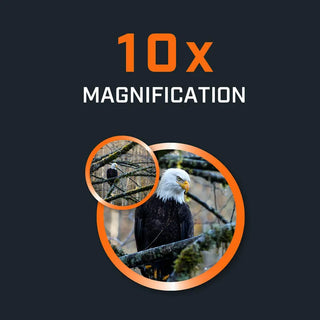 fernglas Bushnell H2O 2.0 10x25 