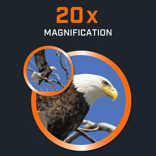 fernglas Bushnell Powerview 2 20x50 